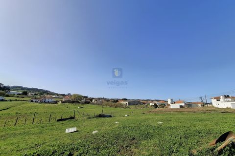 Helårsgrund i Alcobaca, Leiria, Alcobaca - € 175.000 | Ref: LIZ-216586 - foto 13