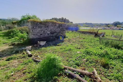 Helårsgrund i Alcobaca, Leiria, Alcobaca - € 175.000 | Ref: LIZ-216586 - foto 14