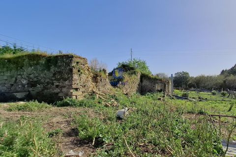 Helårsgrund i Alcobaca, Leiria, Alcobaca - € 175.000 | Ref: LIZ-216586 - foto 15