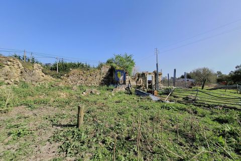 Helårsgrund i Alcobaca, Leiria, Alcobaca - € 175.000 | Ref: LIZ-216586 - foto 16