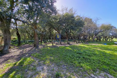 Helårsgrund i Alcobaca, Leiria, Alcobaca - € 175.000 | Ref: LIZ-216586 - foto 19