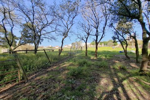 Helårsgrund i Alcobaca, Leiria, Alcobaca - € 175.000 | Ref: LIZ-216586 - foto 20