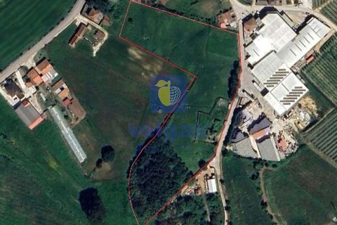 Helårsgrund i Alcobaca, Leiria, Alcobaca - € 175.000 | Ref: LIZ-216586 - foto 24