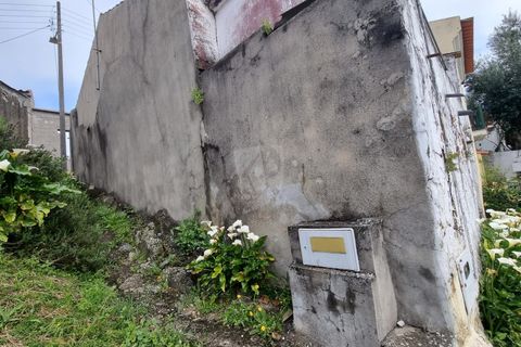 Stadthaus in Proenca-a-Nova, Castelo Branco, Proenca-a-Nova - € 20.500 | Ref: H736 - Foto 13