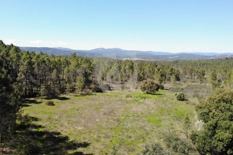 Helårsgrund i Castelo Branco, Castelo Branco, Castelo Branco - € 34.000 | Ref: H738 - foto 1