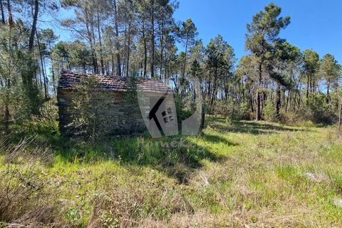 Helårsgrund i Castelo Branco, Castelo Branco, Castelo Branco - € 34.000 | Ref: H738 - foto 2