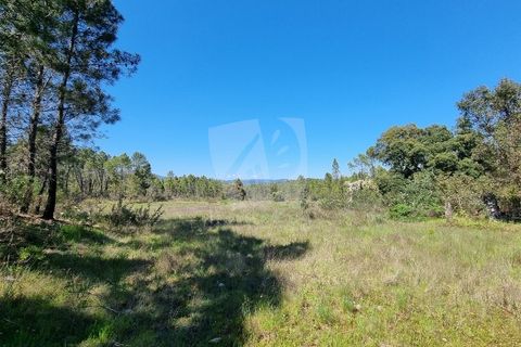 Helårsgrund i Castelo Branco, Castelo Branco, Castelo Branco - € 34.000 | Ref: H738 - foto 6
