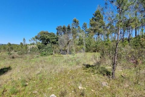 Helårsgrund i Castelo Branco, Castelo Branco, Castelo Branco - € 34.000 | Ref: H738 - foto 7