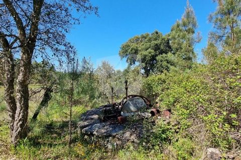 Helårsgrund i Castelo Branco, Castelo Branco, Castelo Branco - € 34.000 | Ref: H738 - foto 8