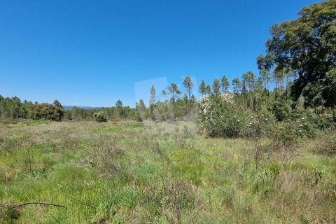 Helårsgrund i Castelo Branco, Castelo Branco, Castelo Branco - € 34.000 | Ref: H738 - foto 11