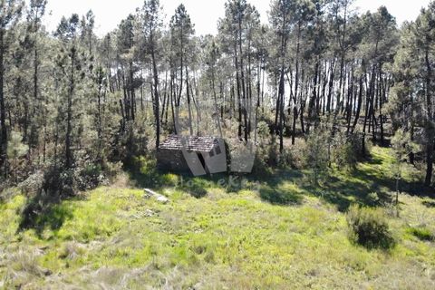 Helårsgrund i Castelo Branco, Castelo Branco, Castelo Branco - € 34.000 | Ref: H738 - foto 14