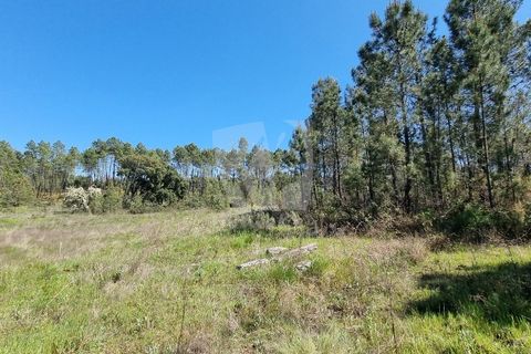 Helårsgrund i Castelo Branco, Castelo Branco, Castelo Branco - € 34.000 | Ref: H738 - foto 17