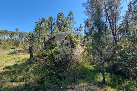 Helårsgrund i Castelo Branco, Castelo Branco, Castelo Branco - € 34.000 | Ref: H738 - foto 20