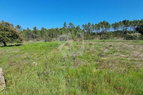 Helårsgrund i Castelo Branco, Castelo Branco, Castelo Branco - € 34.000 | Ref: H738 - foto 21