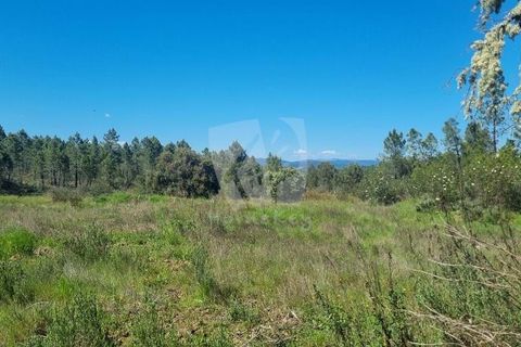 Helårsgrund i Castelo Branco, Castelo Branco, Castelo Branco - € 34.000 | Ref: H738 - foto 23
