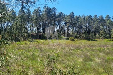 Helårsgrund i Castelo Branco, Castelo Branco, Castelo Branco - € 34.000 | Ref: H738 - foto 24