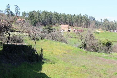 Villa a Seia, Guarda, Seia - € 90.000 | Ref: ALT002/039/2025 - foto 11
