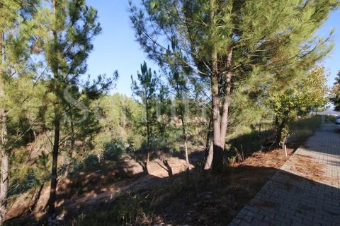 Helårsgrund i Abrantes, Santarem, Abrantes - € 60.000 | Ref: SLTMSAC.10084/7 - foto 7