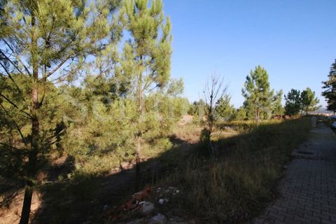 Helårsgrund i Abrantes, Santarem, Abrantes - € 60.000 | Ref: SLTMSAC.10084/7 - foto 8