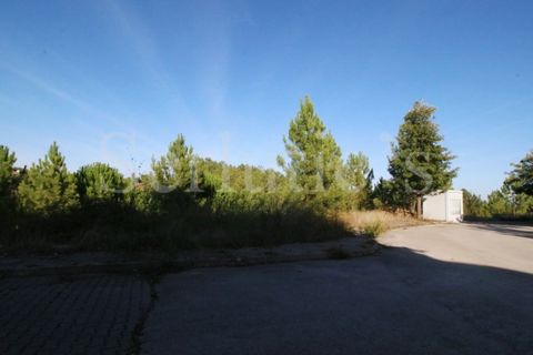 Helårsgrund i Abrantes, Santarem, Abrantes - € 15.000 | Ref: SLTMSAC.10084 - foto 1