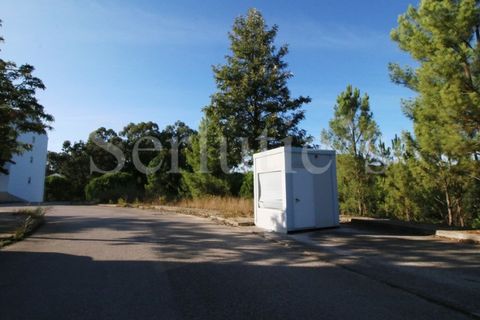 Helårsgrund i Abrantes, Santarem, Abrantes - € 15.000 | Ref: SLTMSAC.10084 - foto 3