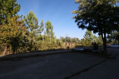 Helårsgrund i Abrantes, Santarem, Abrantes - € 15.000 | Ref: SLTMSAC.10084 - foto 5