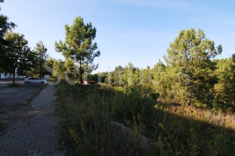 Helårsgrund i Abrantes, Santarem, Abrantes - € 15.000 | Ref: SLTMSAC.10084 - foto 9