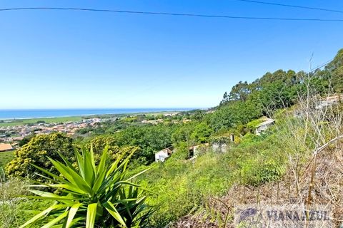 Helårsgrund i Areosa, Viana do Castelo, Areosa - € 135.000 | Ref: 2197 - foto 4