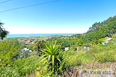 Helårsgrund i Areosa, Viana do Castelo, Areosa - € 135.000 | Ref: 2197 - foto 5