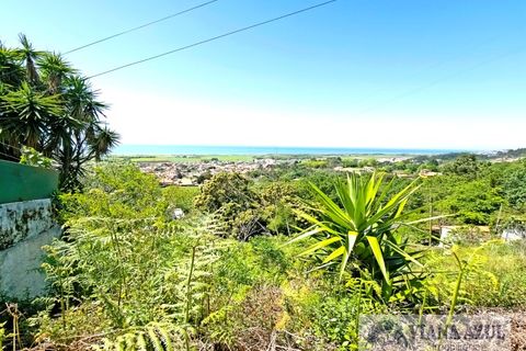 Helårsgrund i Areosa, Viana do Castelo, Areosa - € 135.000 | Ref: 2197 - foto 6