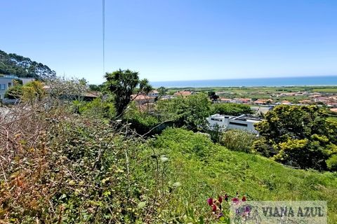 Helårsgrund i Areosa, Viana do Castelo, Areosa - € 135.000 | Ref: 2197 - foto 8