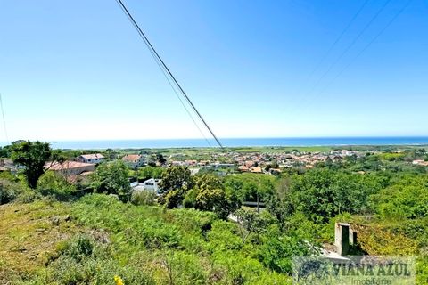 Helårsgrund i Areosa, Viana do Castelo, Areosa - € 135.000 | Ref: 2197 - foto 11