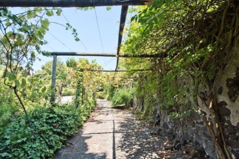 Villa a Barcarena, Lisbon, Barcarena - € 2.600.000 | Ref: PAL_769 - foto 4