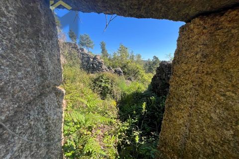 Helårsgrund i Castelo Branco, Castelo Branco, Castelo Branco - € 67.500 | Ref: 4866 - foto 9