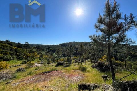 Helårsgrund i Castelo Branco, Castelo Branco, Castelo Branco - € 67.500 | Ref: 4866 - foto 17