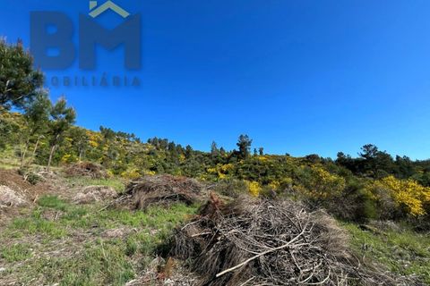 Helårsgrund i Castelo Branco, Castelo Branco, Castelo Branco - € 67.500 | Ref: 4866 - foto 18