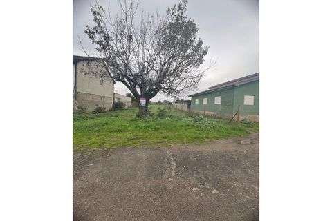 Helårsgrund i Agueda, Aveiro, Agueda - € 52.000 | Ref: LHLP140924 - foto 3