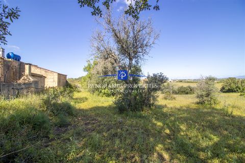 Helårsgrund i Lagoa, Faro, Lagoa - € 469.000 | Ref: PPC792-P - foto 5