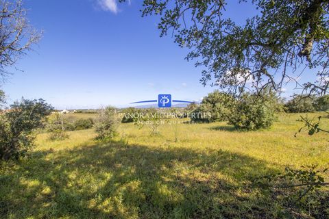 Helårsgrund i Lagoa, Faro, Lagoa - € 469.000 | Ref: PPC792-P - foto 6