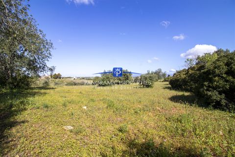 Helårsgrund i Lagoa, Faro, Lagoa - € 469.000 | Ref: PPC792-P - foto 7