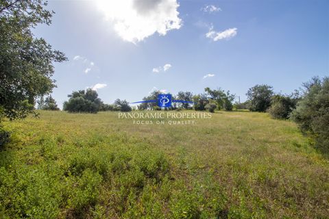 Helårsgrund i Lagoa, Faro, Lagoa - € 469.000 | Ref: PPC792-P - foto 9
