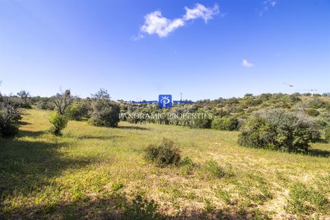 Helårsgrund i Lagoa, Faro, Lagoa - € 469.000 | Ref: PPC792-P - foto 11