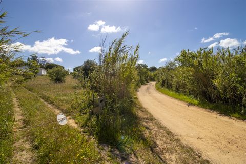 Helårsgrund i Lagoa, Faro, Lagoa - € 1.075.000 | Ref: PPC791-P - foto 3