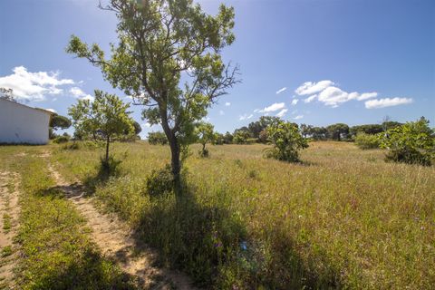 Helårsgrund i Lagoa, Faro, Lagoa - € 1.075.000 | Ref: PPC791-P - foto 4