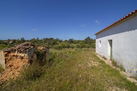 Helårsgrund i Lagoa, Faro, Lagoa - € 1.075.000 | Ref: PPC791-P - foto 6