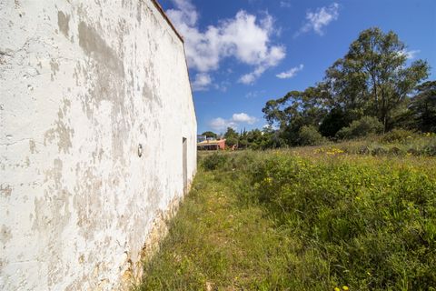 Helårsgrund i Lagoa, Faro, Lagoa - € 1.075.000 | Ref: PPC791-P - foto 7