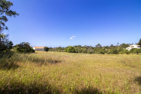 Helårsgrund i Lagoa, Faro, Lagoa - € 1.075.000 | Ref: PPC791-P - foto 8