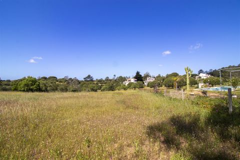 Helårsgrund i Lagoa, Faro, Lagoa - € 1.075.000 | Ref: PPC791-P - foto 9