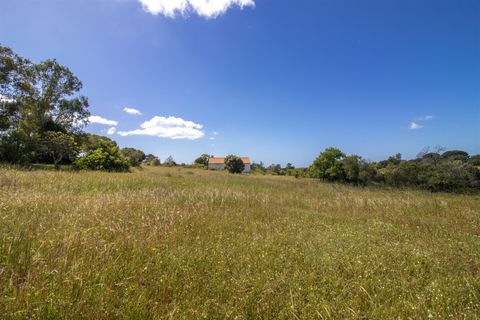 Helårsgrund i Lagoa, Faro, Lagoa - € 1.075.000 | Ref: PPC791-P - foto 10