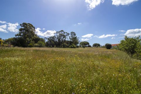 Helårsgrund i Lagoa, Faro, Lagoa - € 1.075.000 | Ref: PPC791-P - foto 12